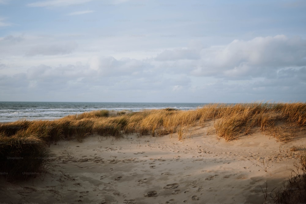 a sandy beach next to the ocean under a cloudy sky