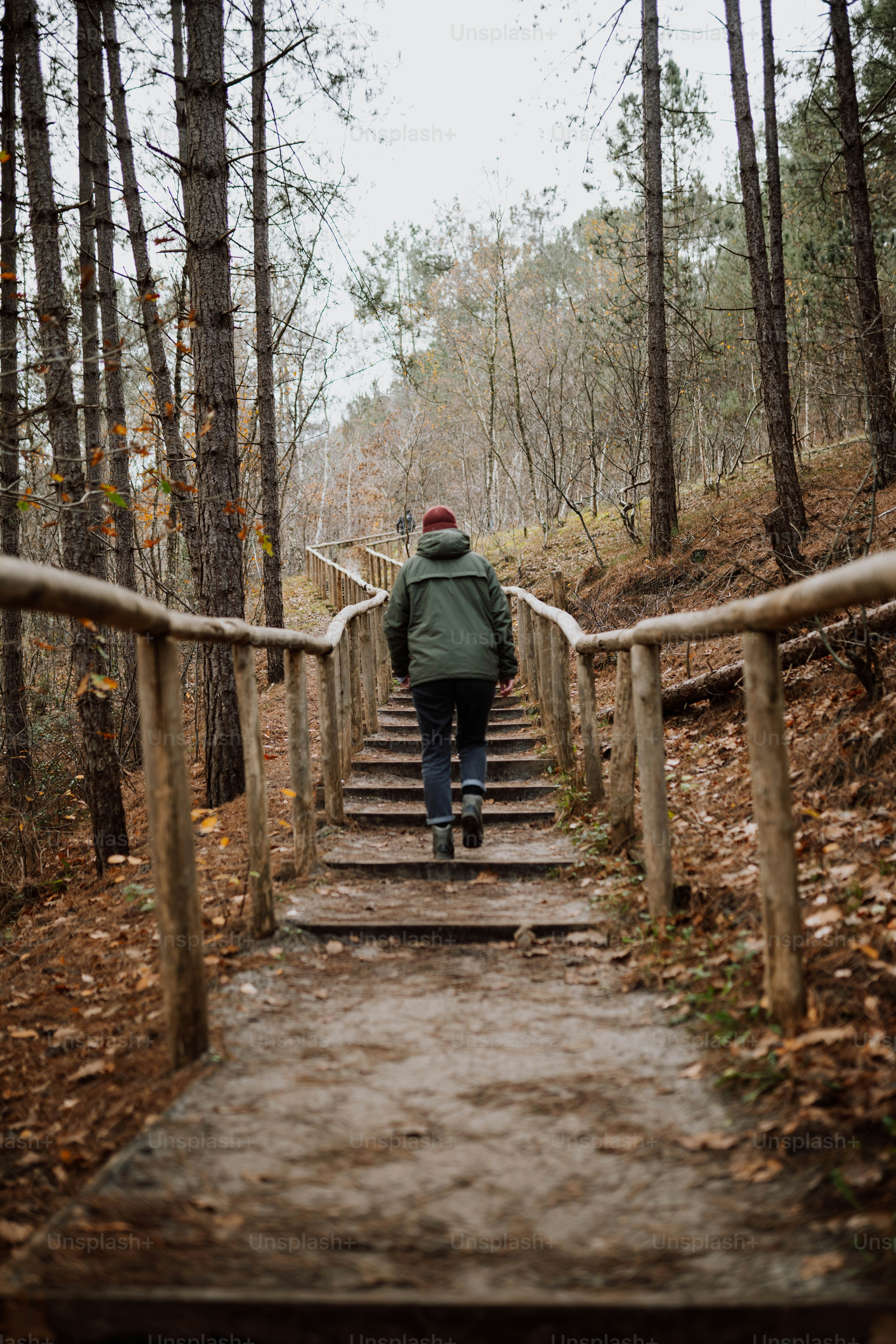 une personne qui monte un escalier dans les bois