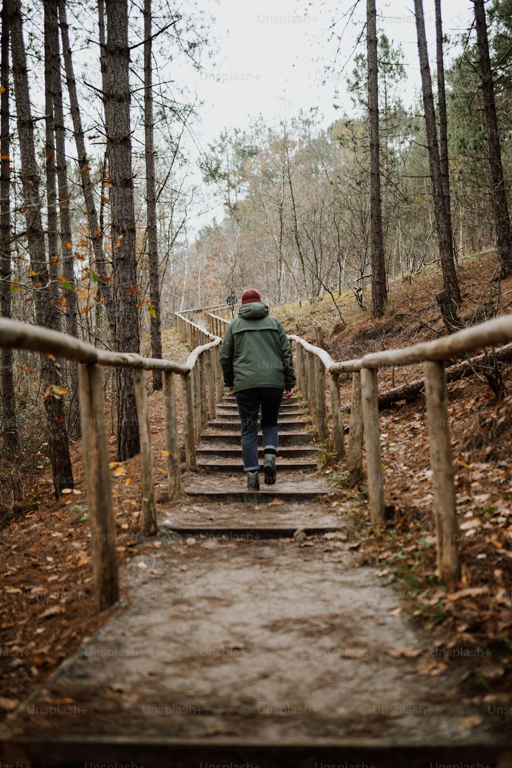 a person walking up a set of stairs in the woods