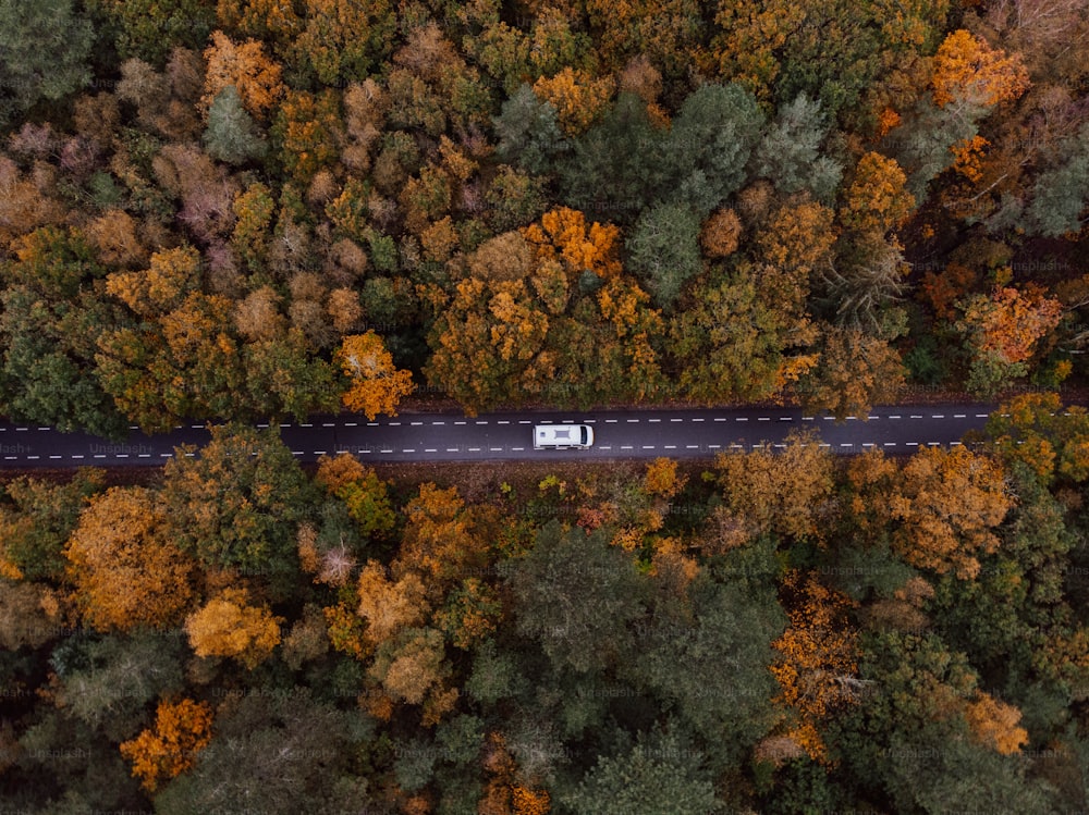 an aerial view of a road surrounded by trees