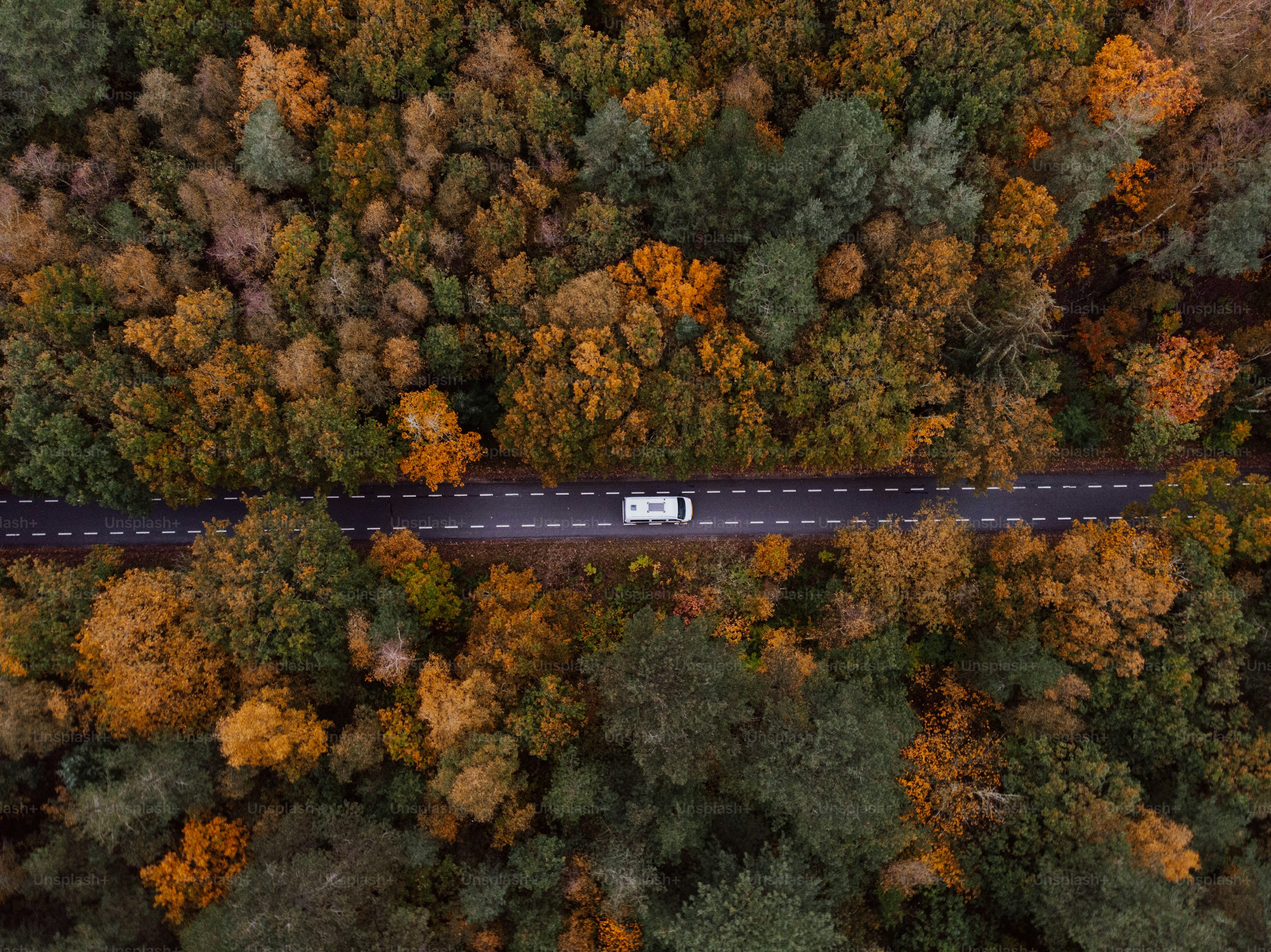 an aerial view of a road surrounded by trees