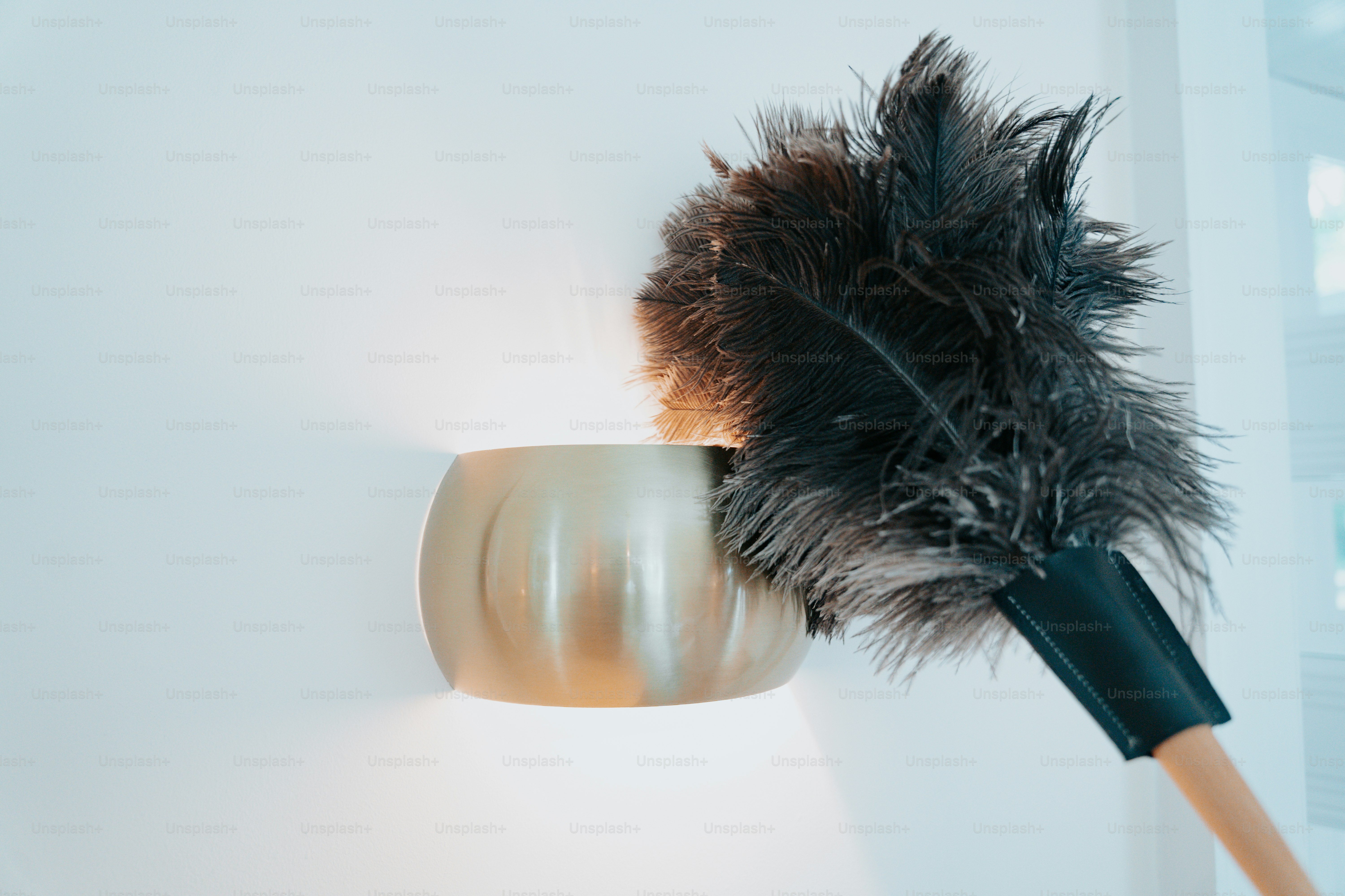 벽에 깃털의 클로즈업