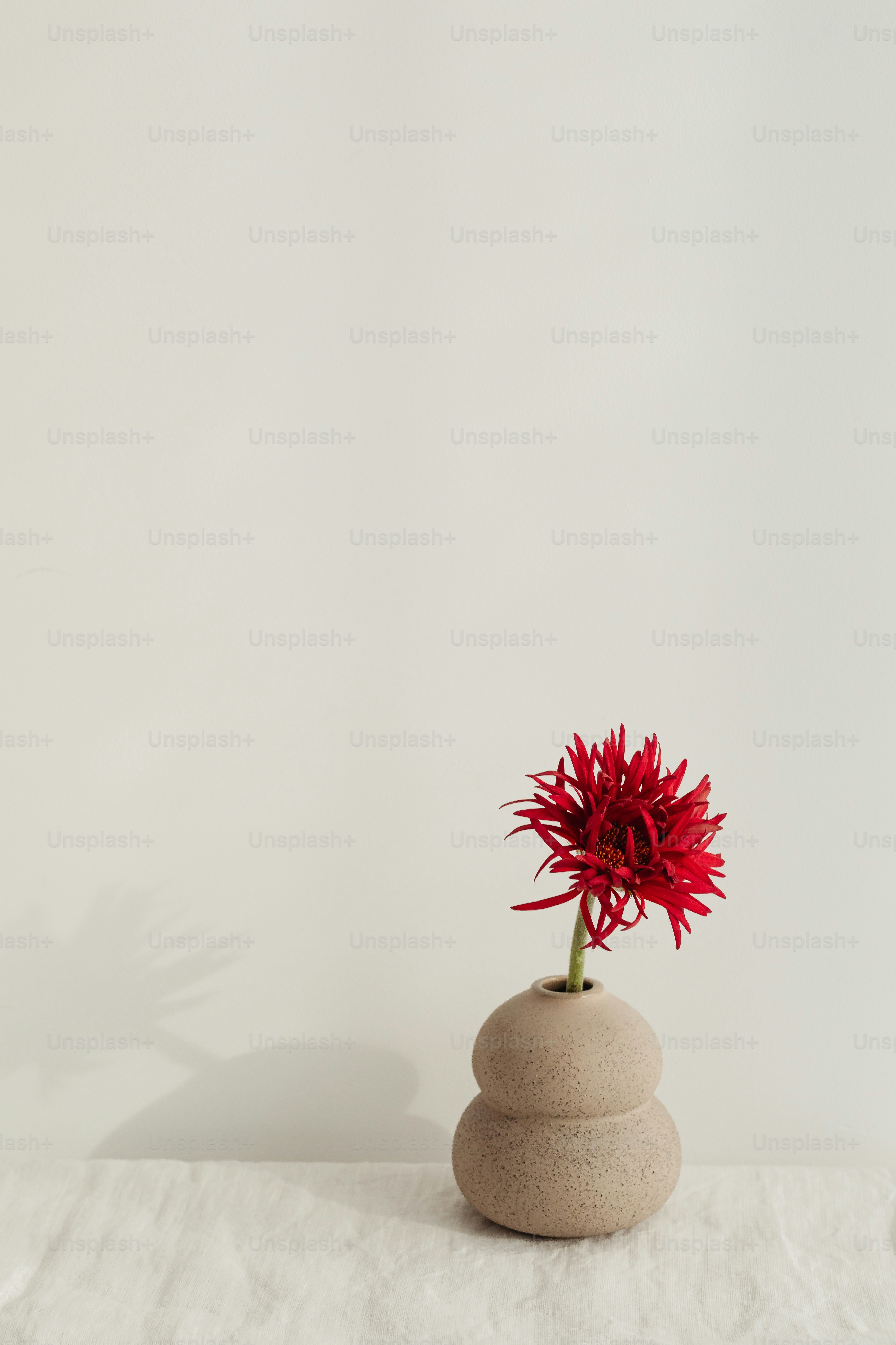 石の花瓶に座っている赤い花