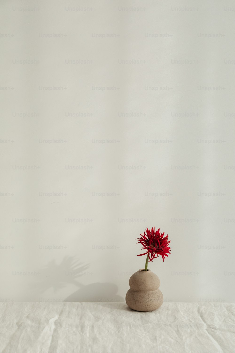 a small vase with a red flower in it