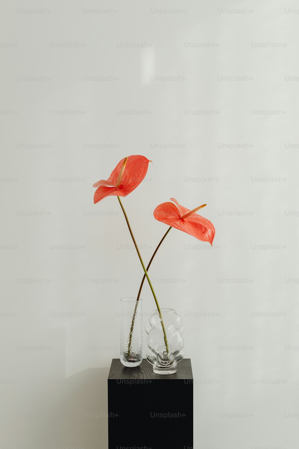 two red flowers in a glass vase on a black stand