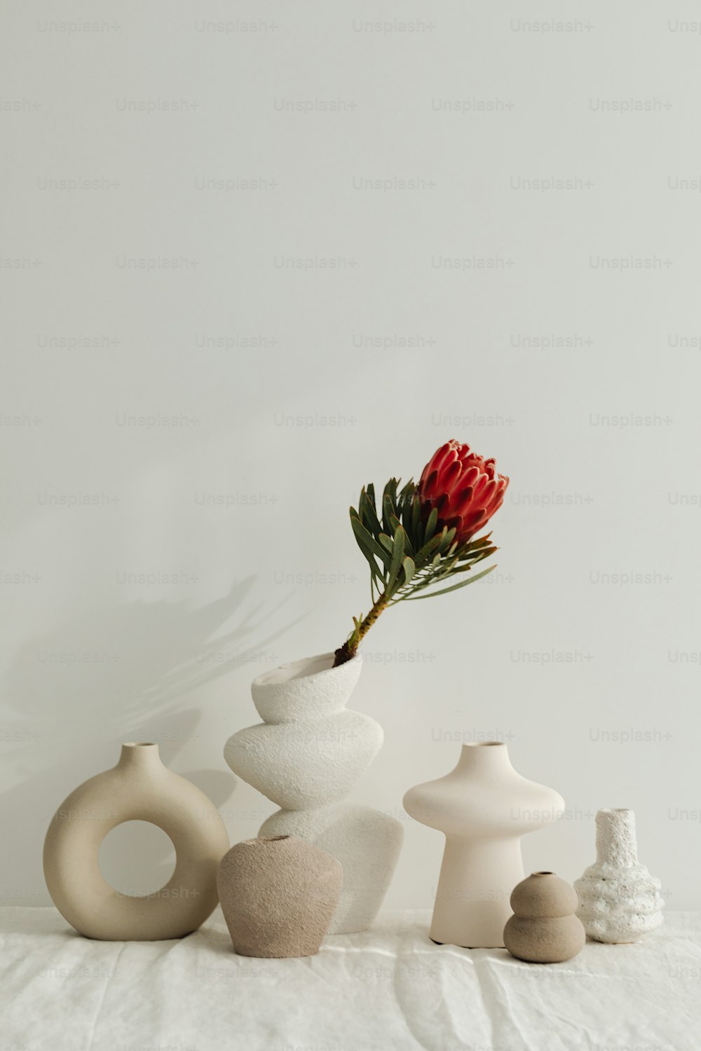 Eine rote Blume befindet sich in einer weißen Vase