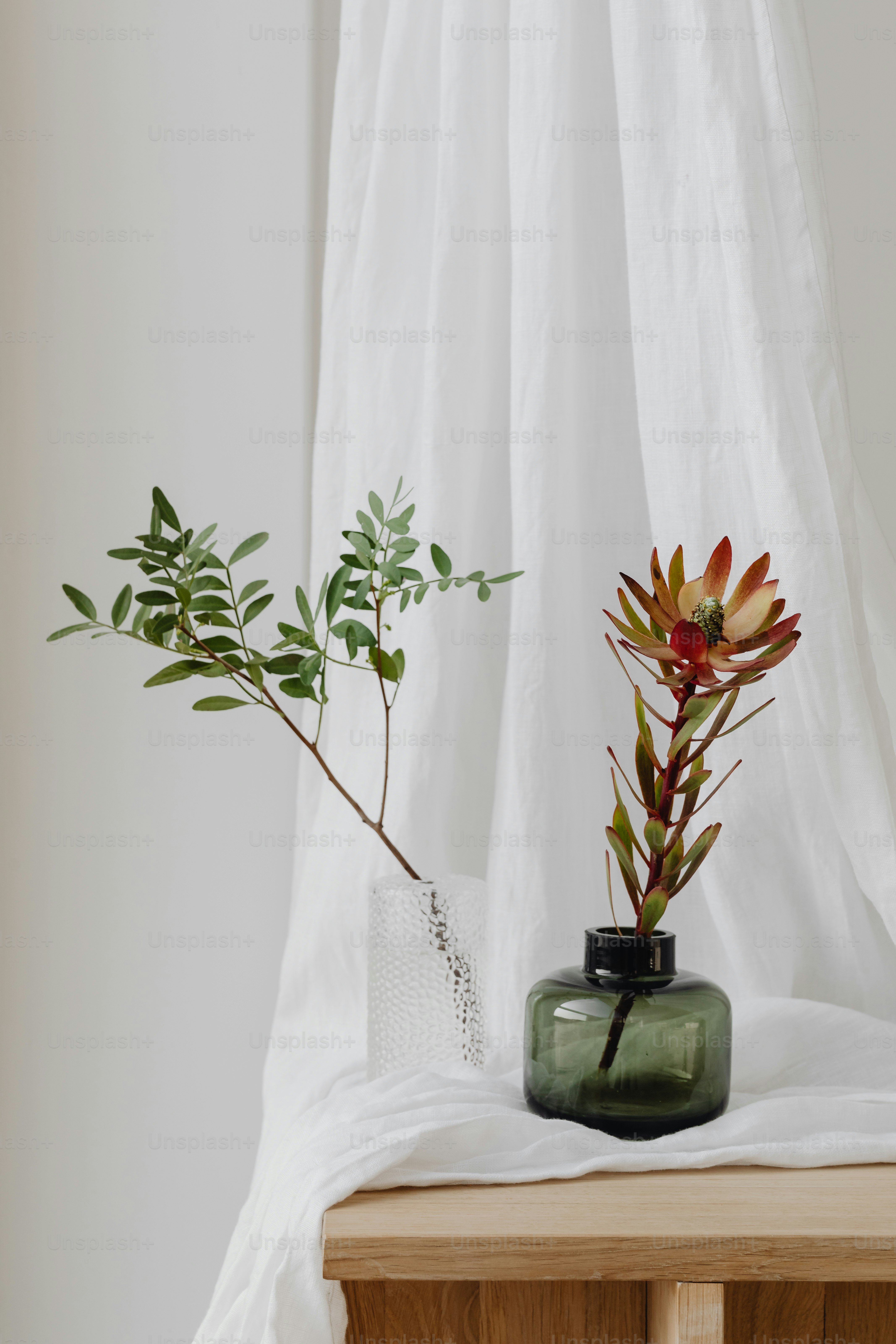 a couple of plants sitting on top of a wooden table