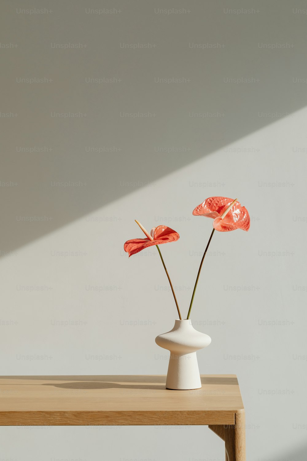 two red flowers in a white vase on a wooden table
