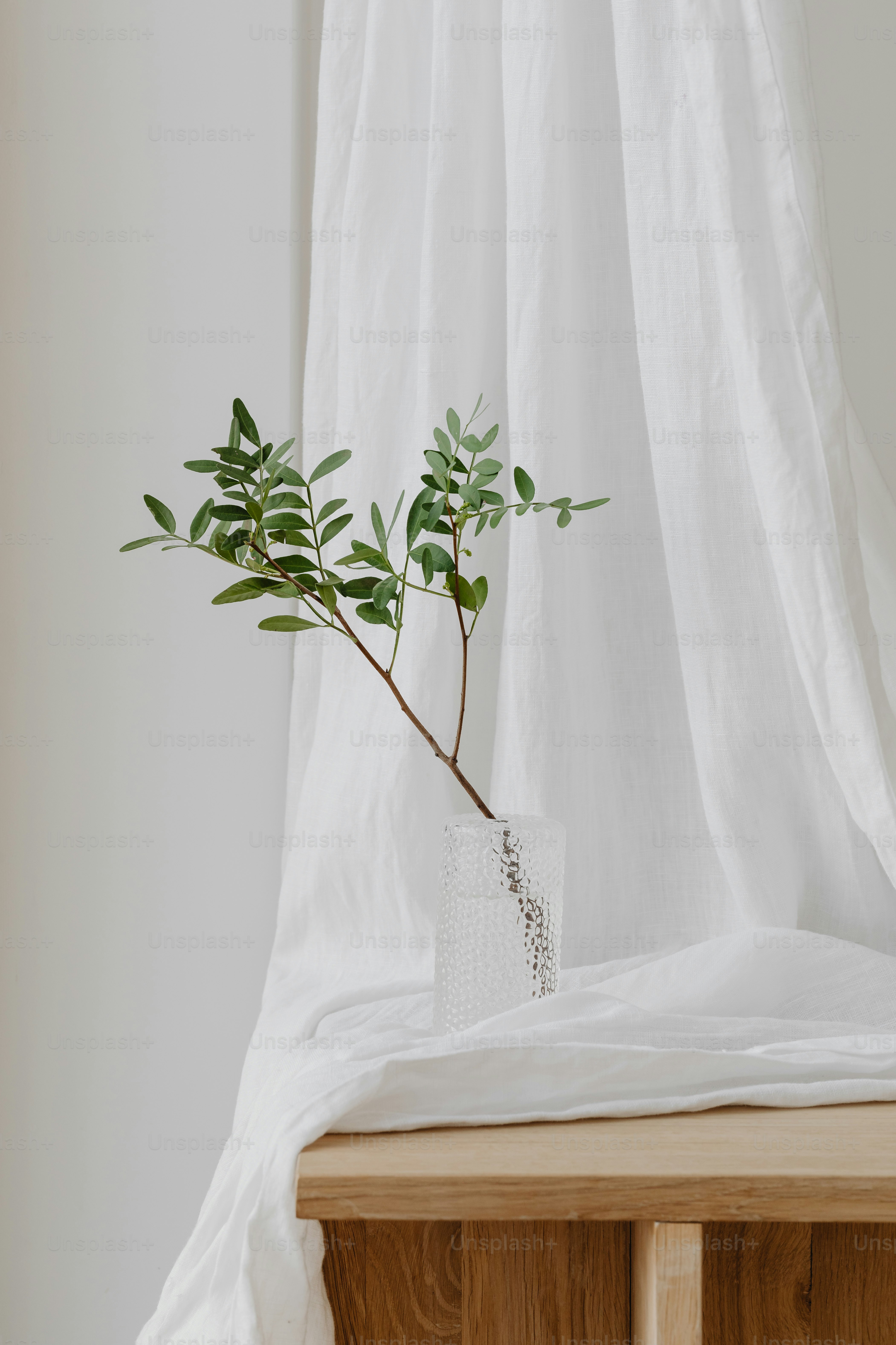 a plant in a vase sitting on a table