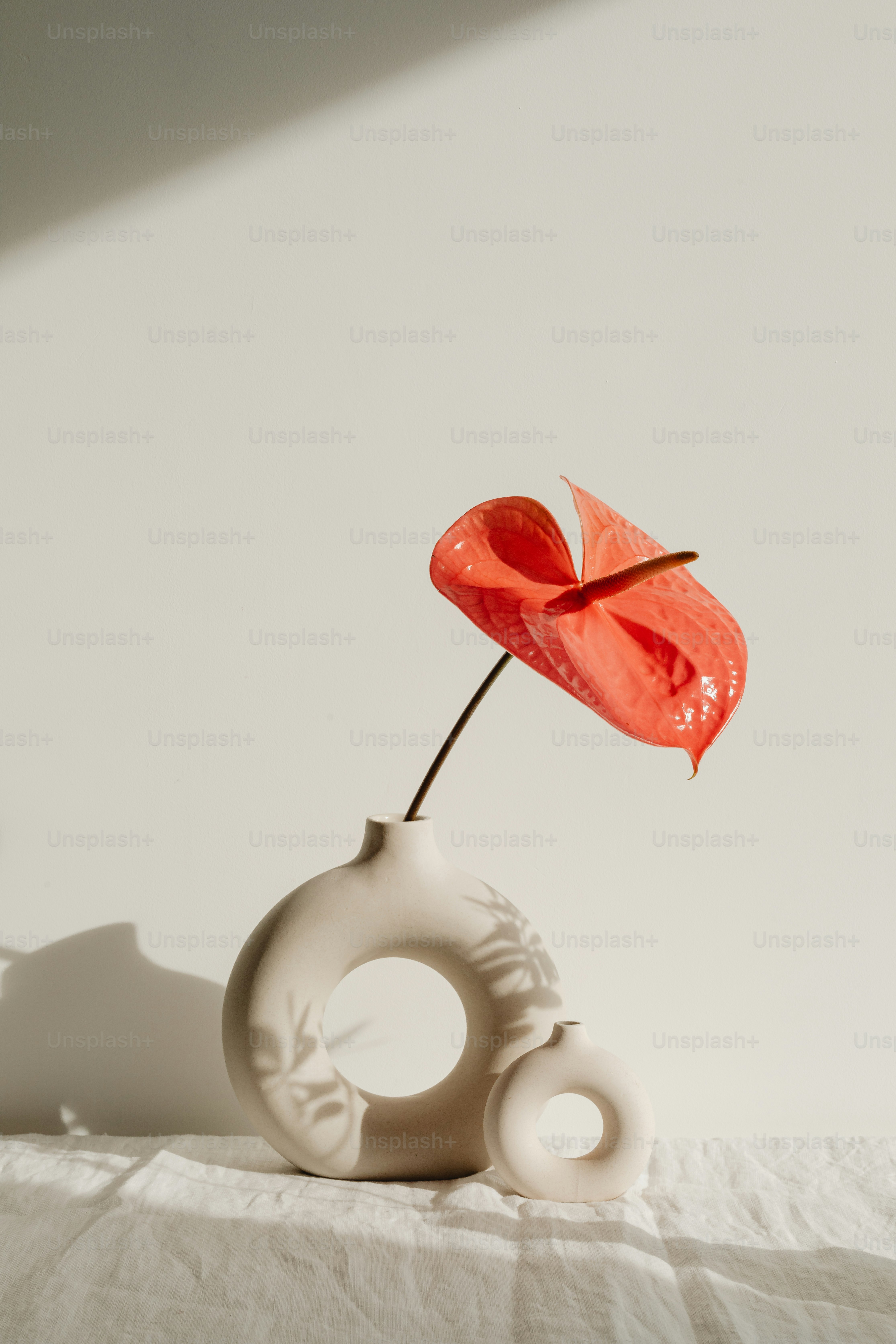 eine weiße Vase mit einer roten Blume darin