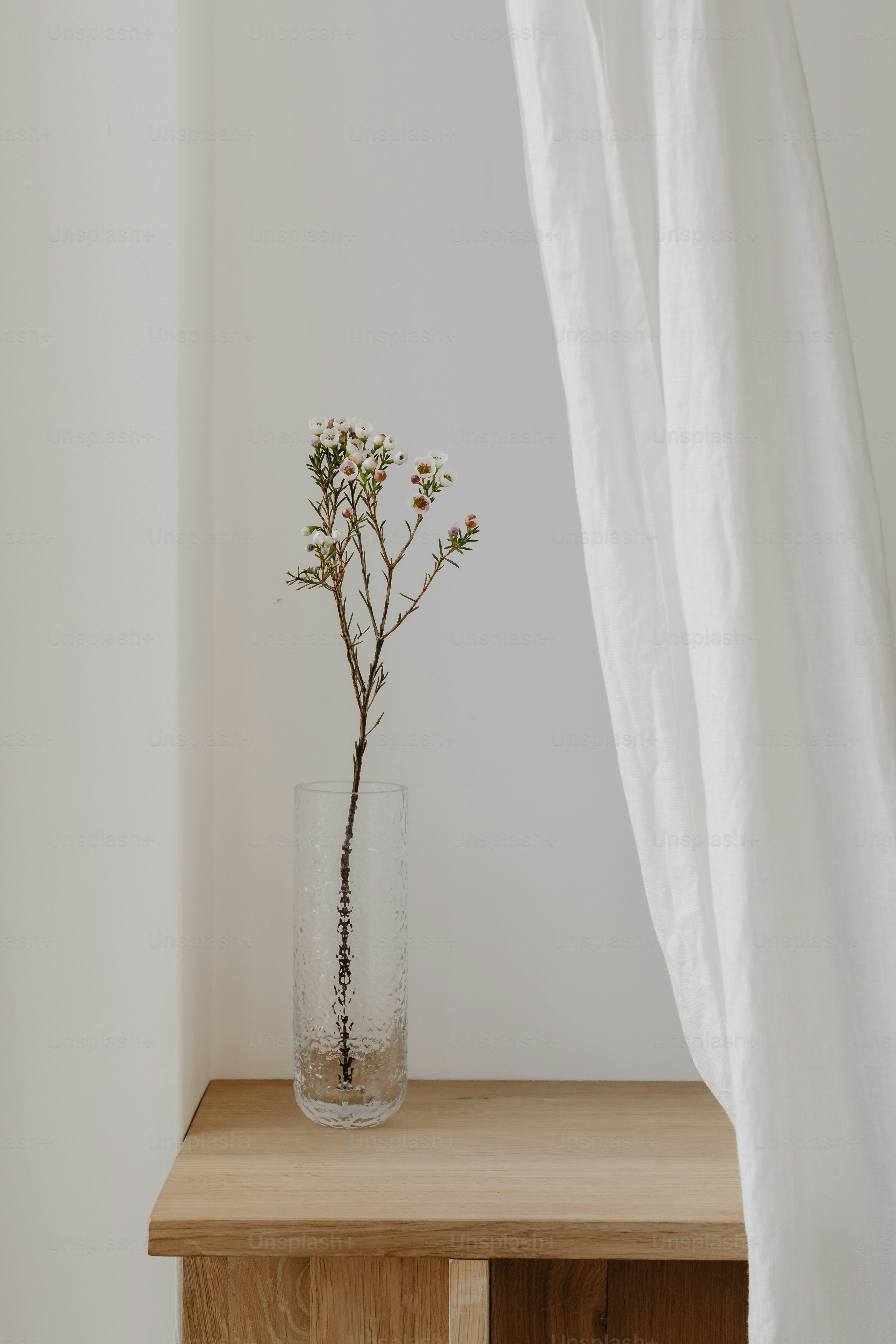 un vase en verre avec une plante sur une table