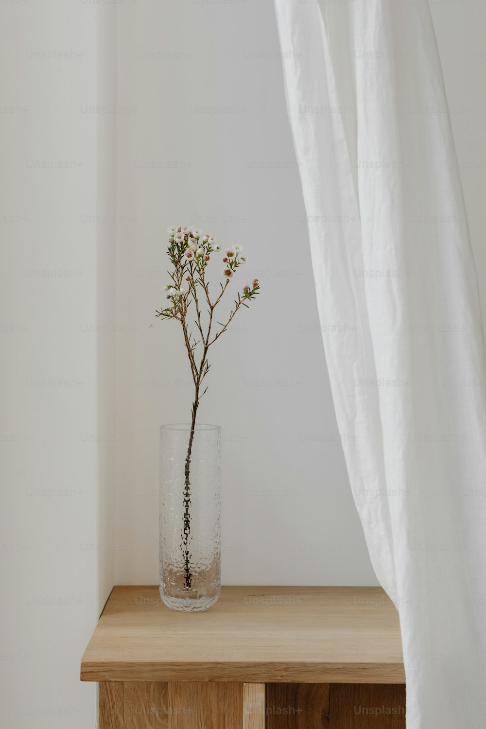 a glass vase with a plant in it on a table