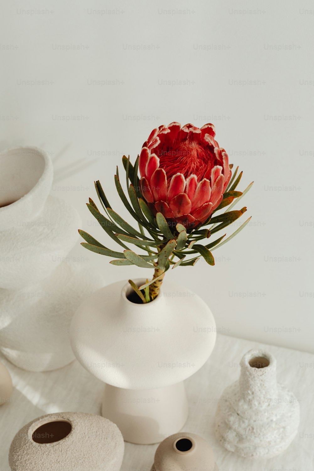 un jarrón blanco con una flor roja en él