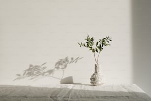 um vaso com uma planta sobre uma mesa