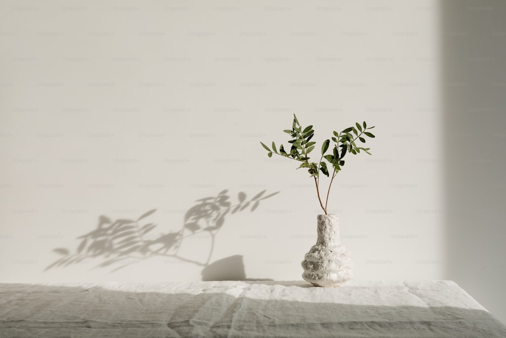 a vase with a plant in it on a table