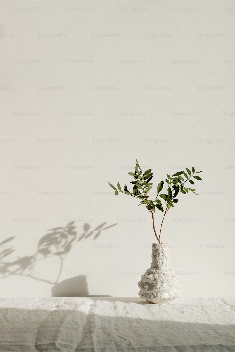 a white vase with a plant in it