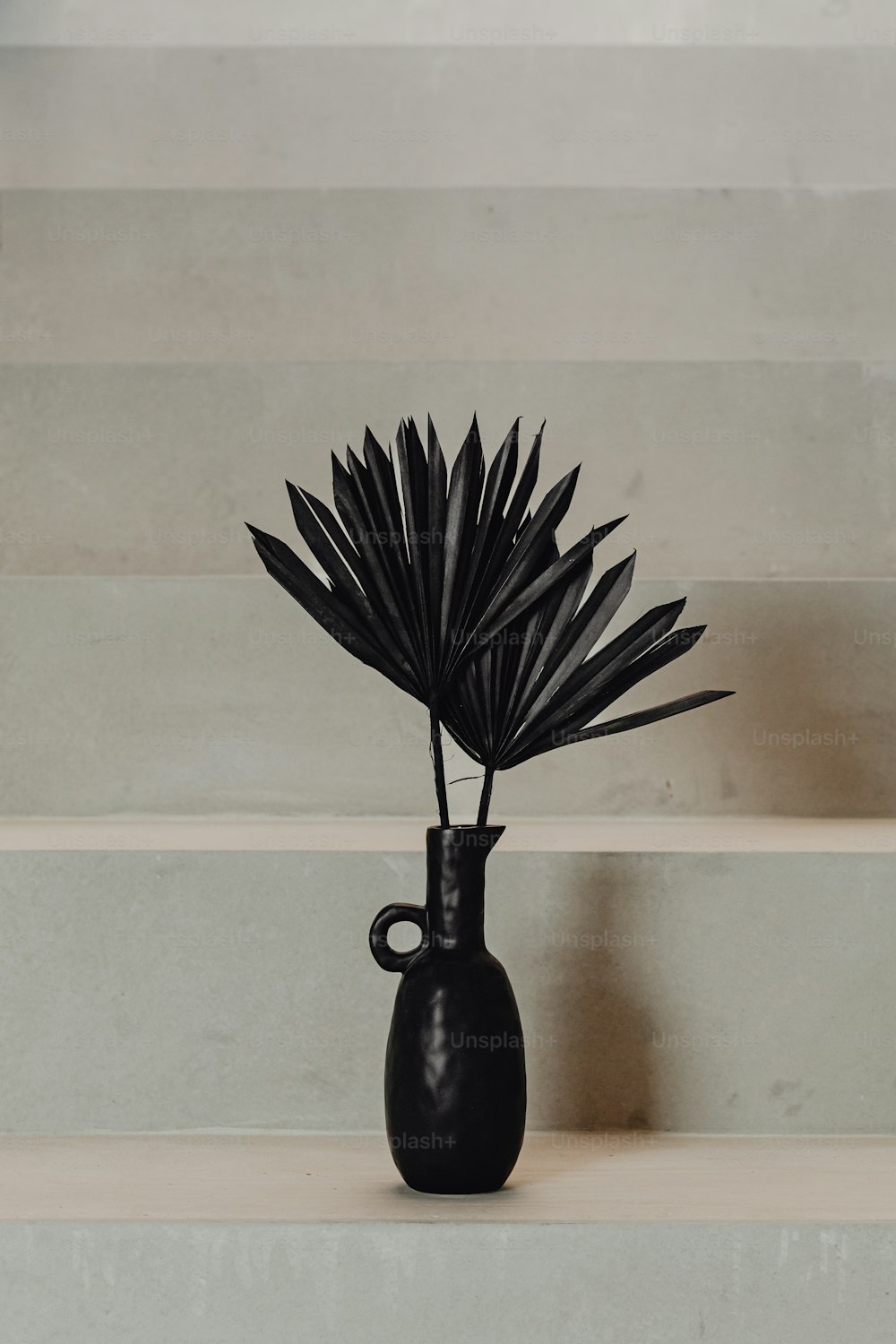 eine schwarze Vase mit einer Pflanze darin