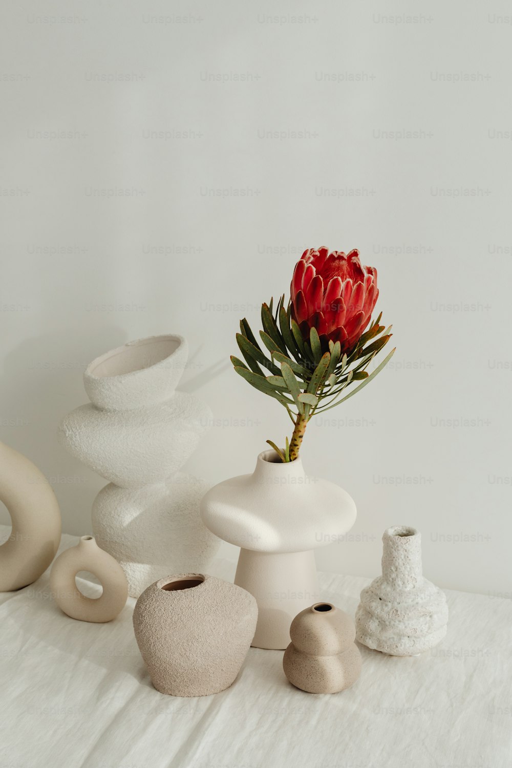 uma mesa branca coberta com vasos e uma flor vermelha