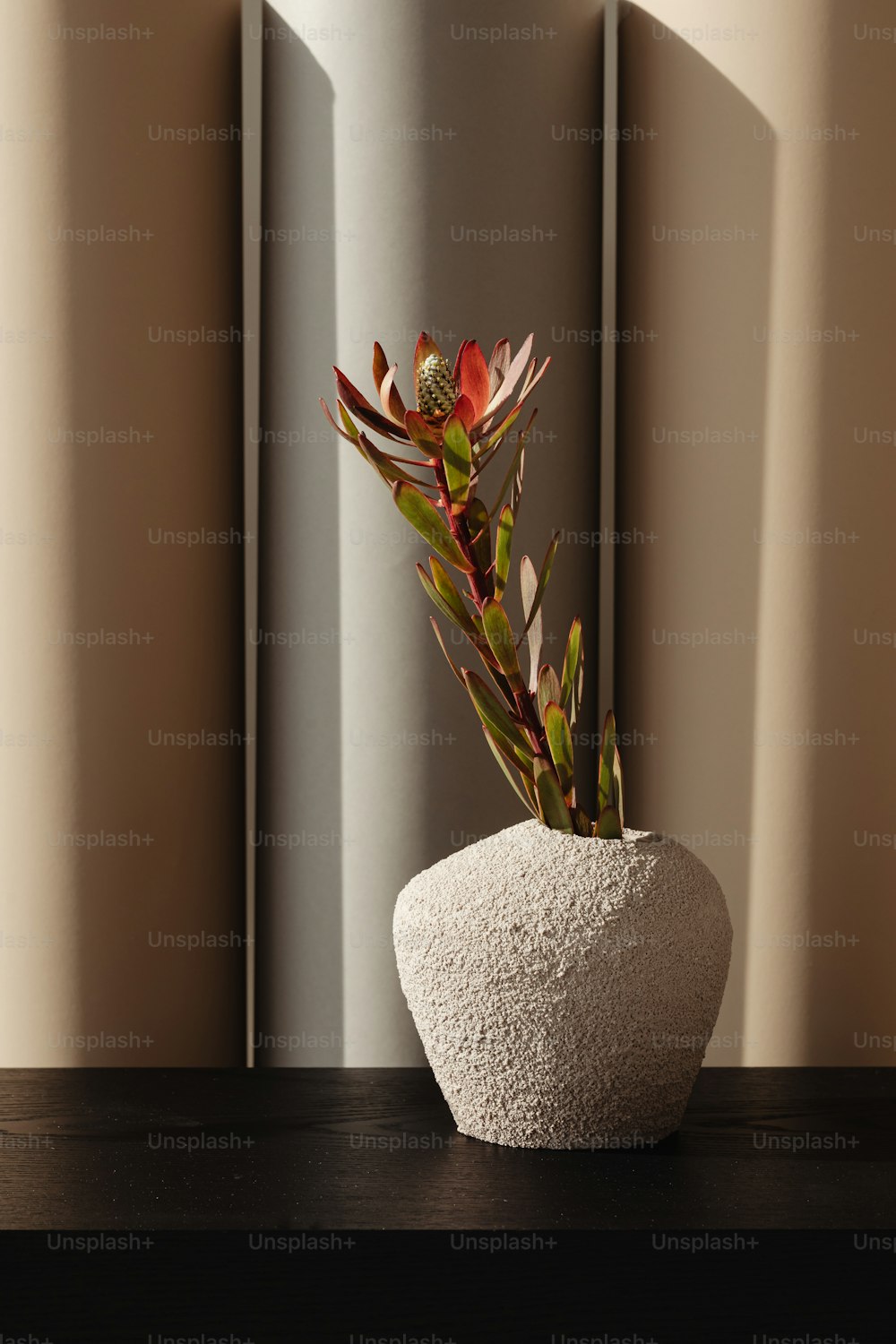 a potted plant sitting on top of a wooden table