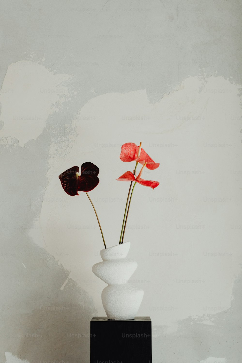 un vase blanc avec deux fleurs rouges dedans