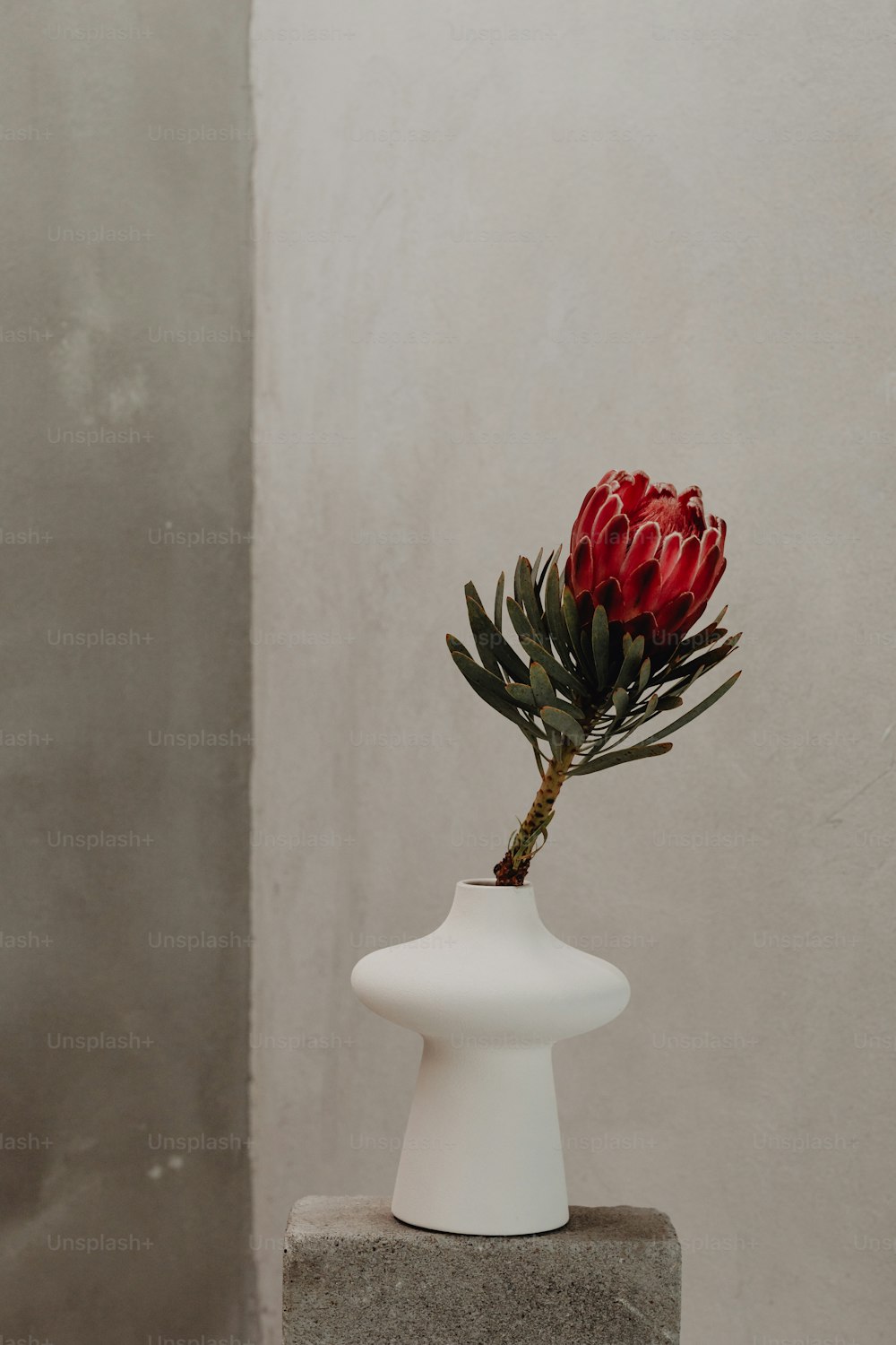 un jarrón blanco con una flor roja en él