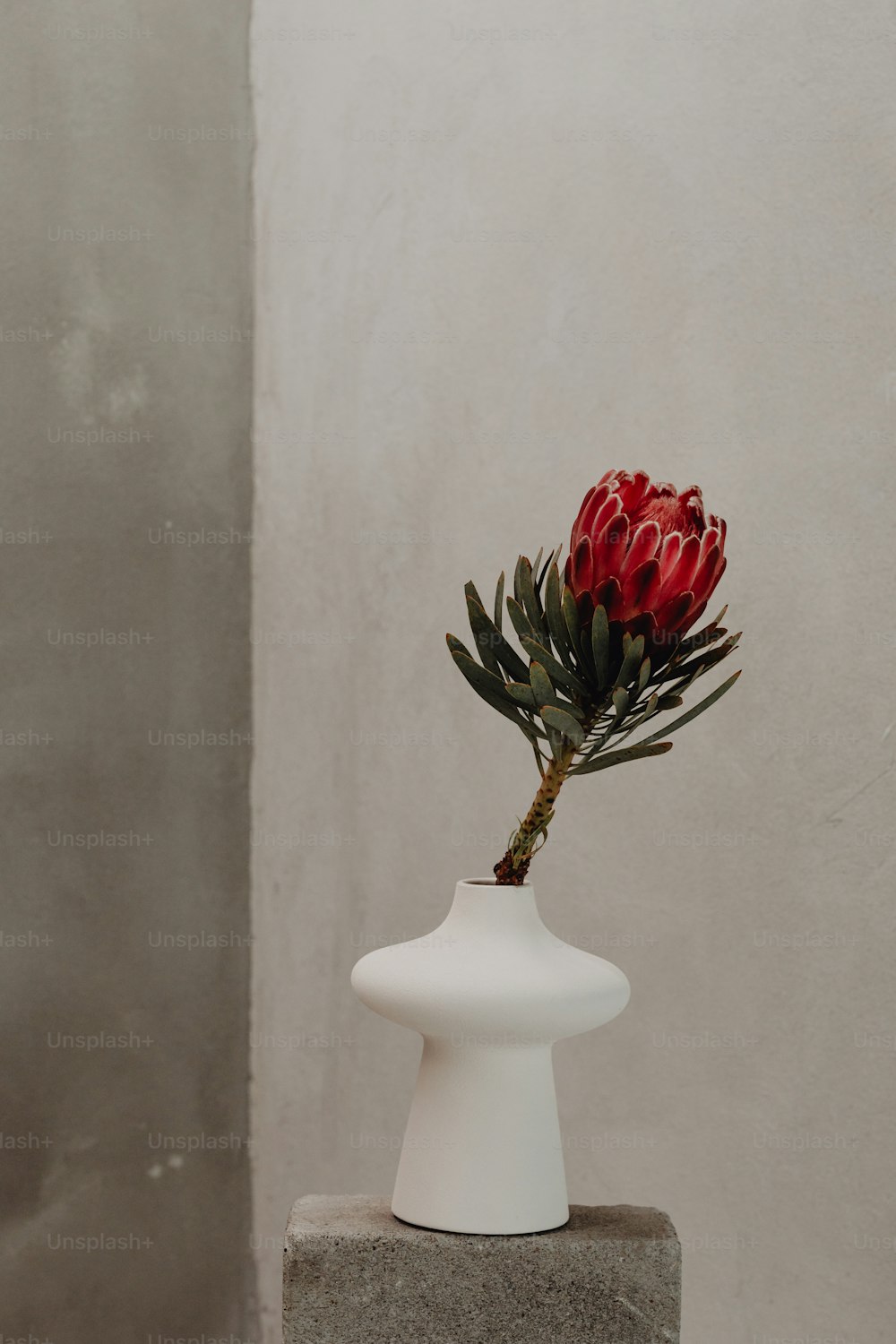 a white vase with a red flower in it