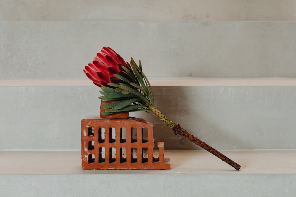 a red flower sitting on top of a brick structure