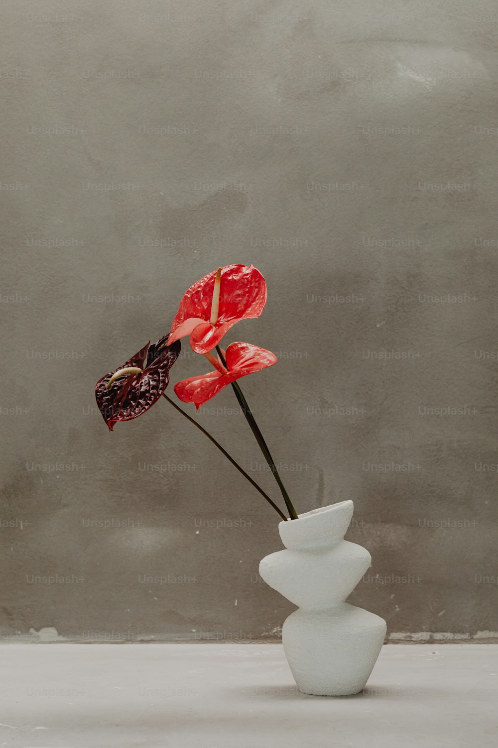 eine weiße Vase mit drei roten Blumen darin