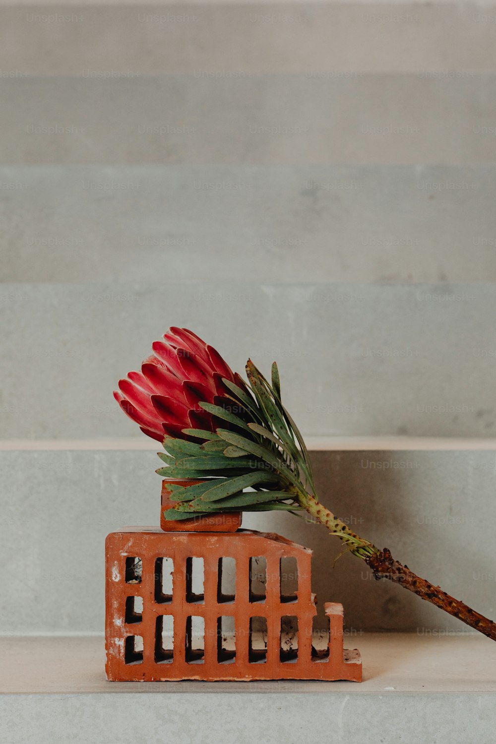 a red flower sitting on top of a brick structure
