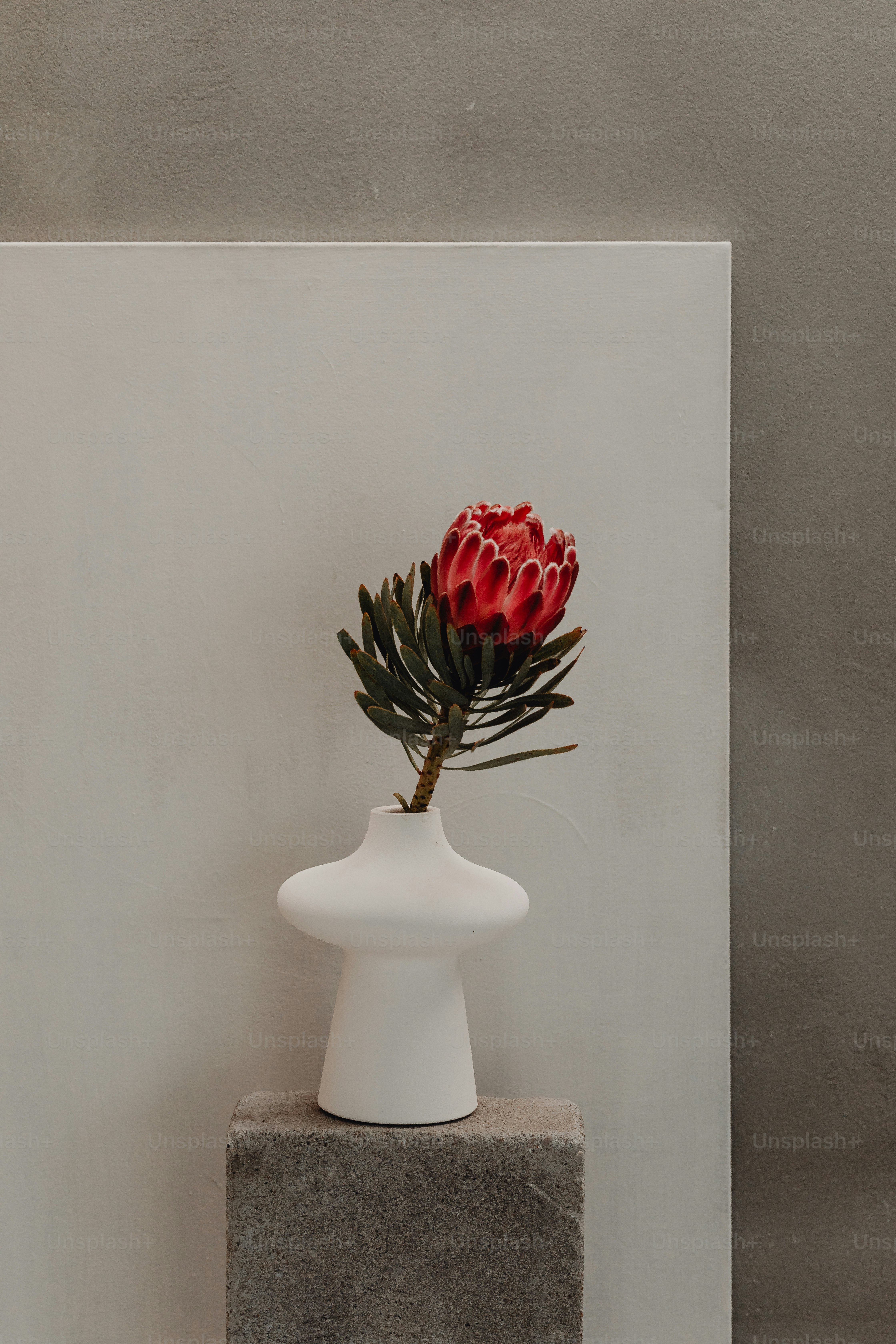 un jarrón blanco con una flor roja en él