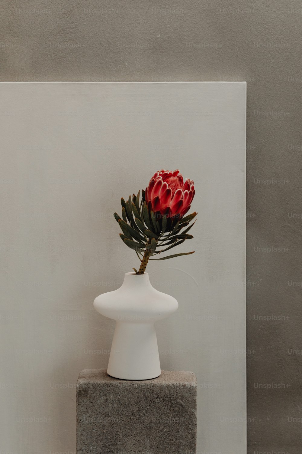 a white vase with a red flower in it