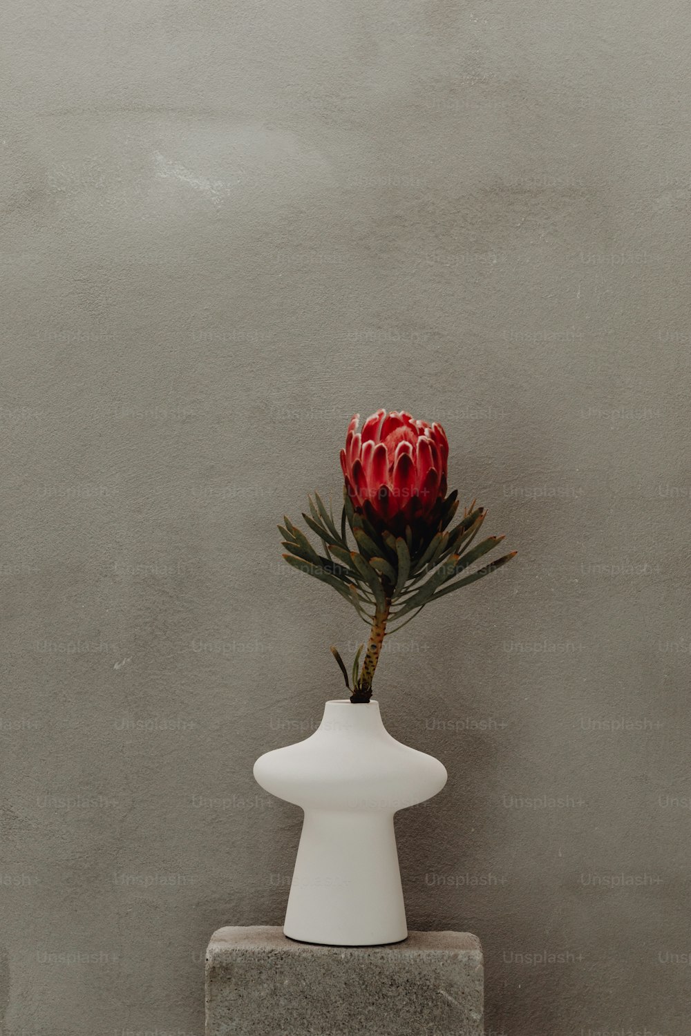 eine weiße Vase mit einer roten Blume darin