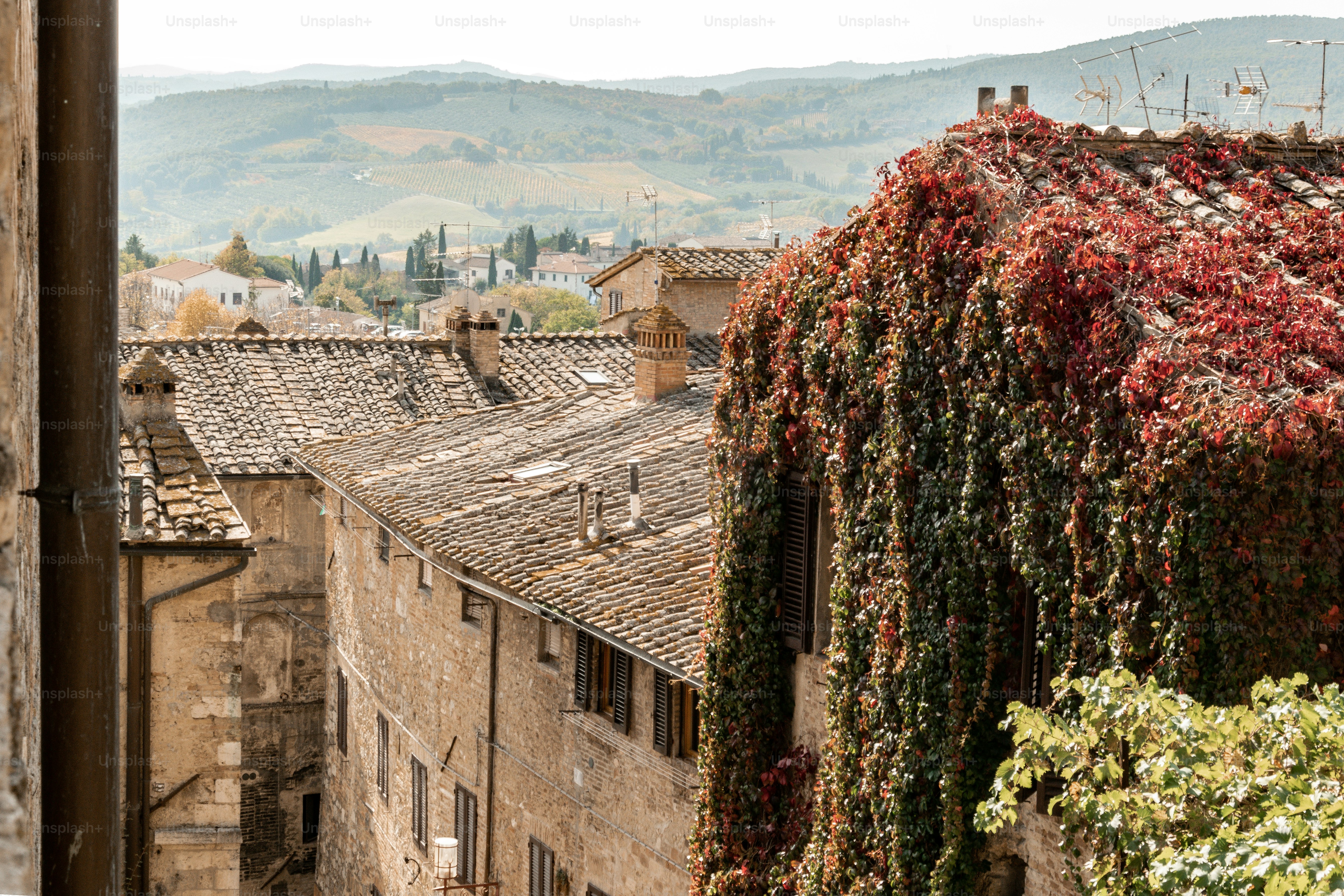 a view of a building with vines growing on it