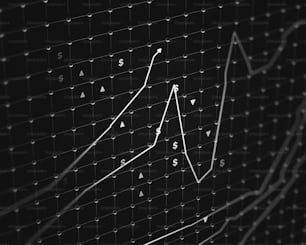折れ線グラフの白黒写真