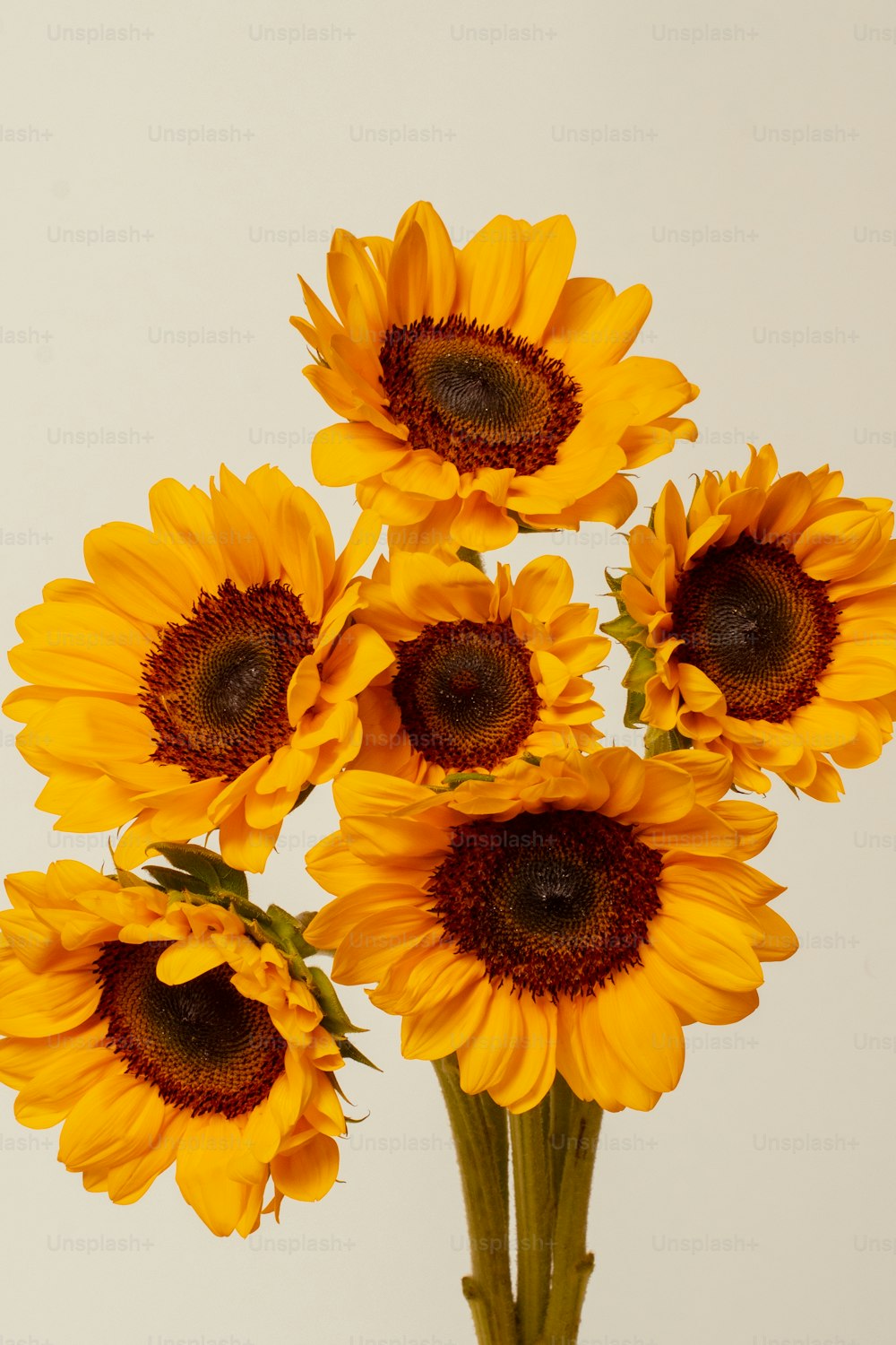 a vase filled with yellow sunflowers on top of a table