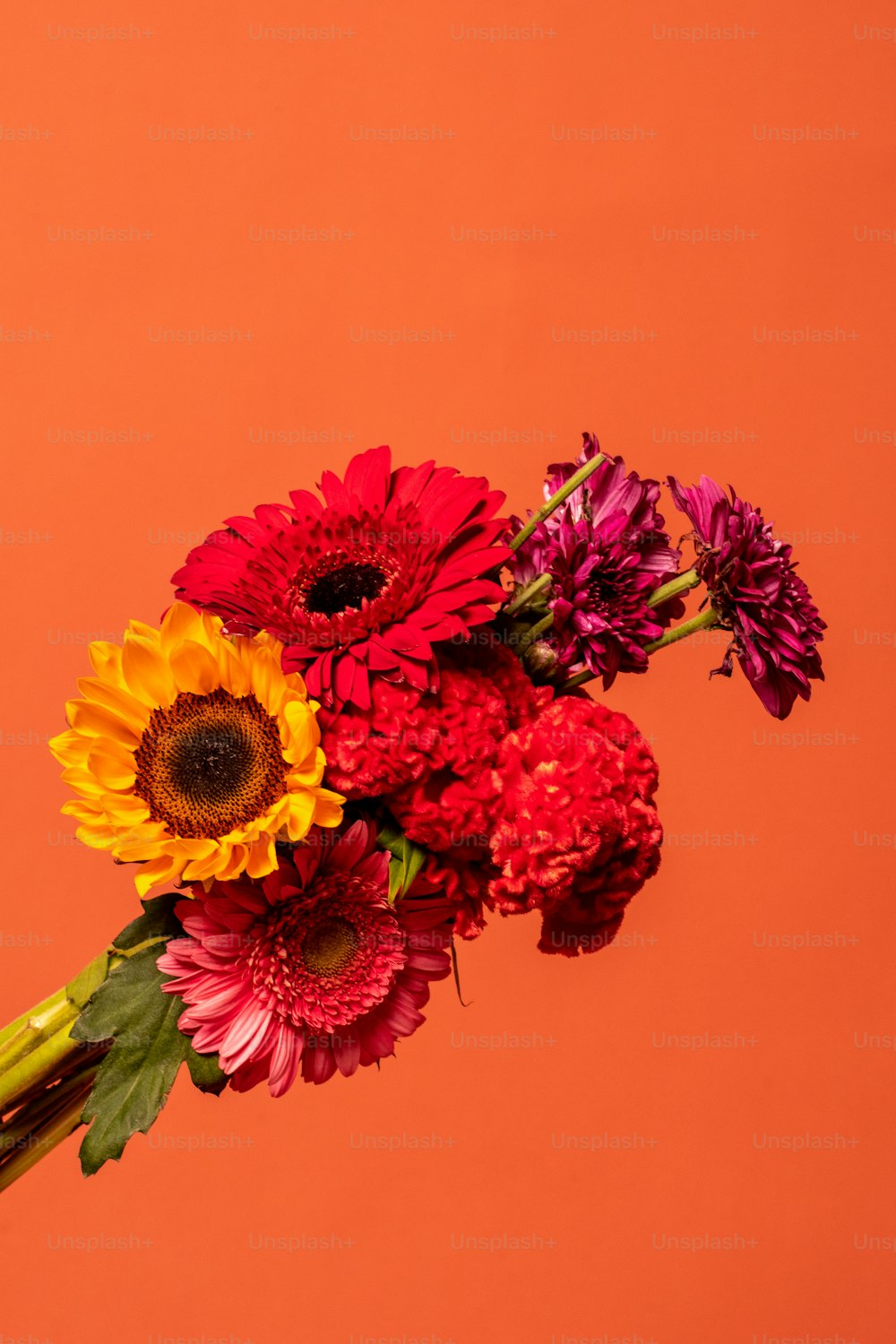 a bouquet of colorful flowers on an orange background