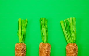 three carrots with green stems on a green background