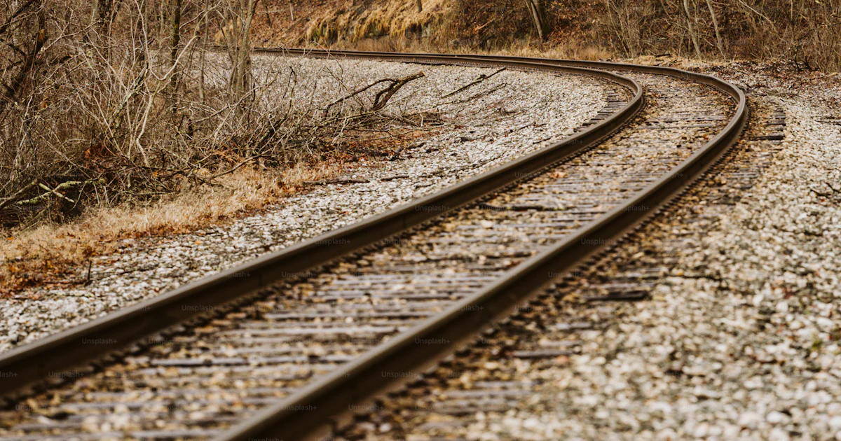 A train track in the middle of a wooded area photo – Industry Image on ...