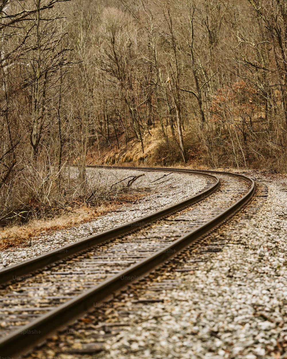 a train track in the middle of a wooded area