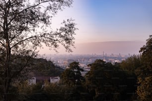 Una vista di una città da una collina