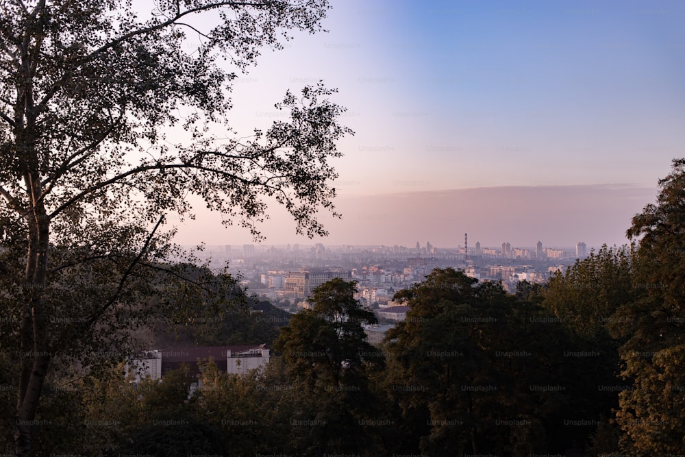 Blick auf eine Stadt von einem Hügel aus