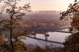 a bridge over a river surrounded by trees