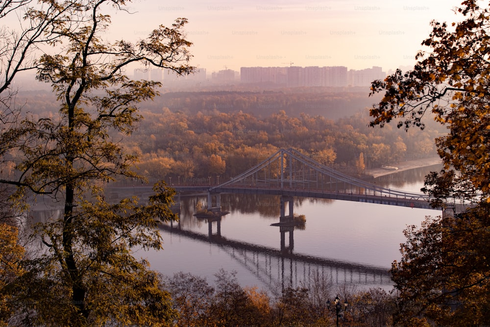 a bridge over a river surrounded by trees