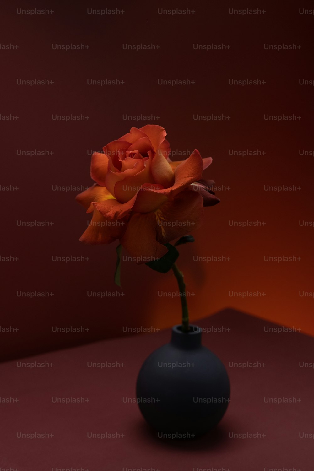 eine einzelne orangefarbene Rose in einer schwarzen Vase