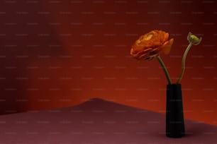 Due fiori arancioni in un vaso nero su uno sfondo rosso