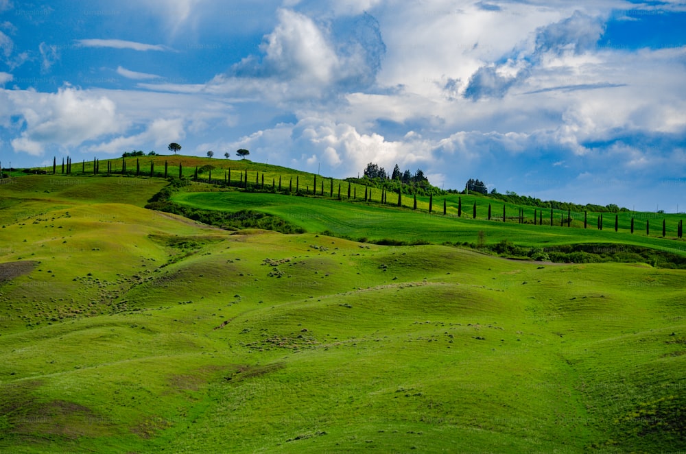 ein üppiger grüner Hügel unter einem bewölkt blauen Himmel