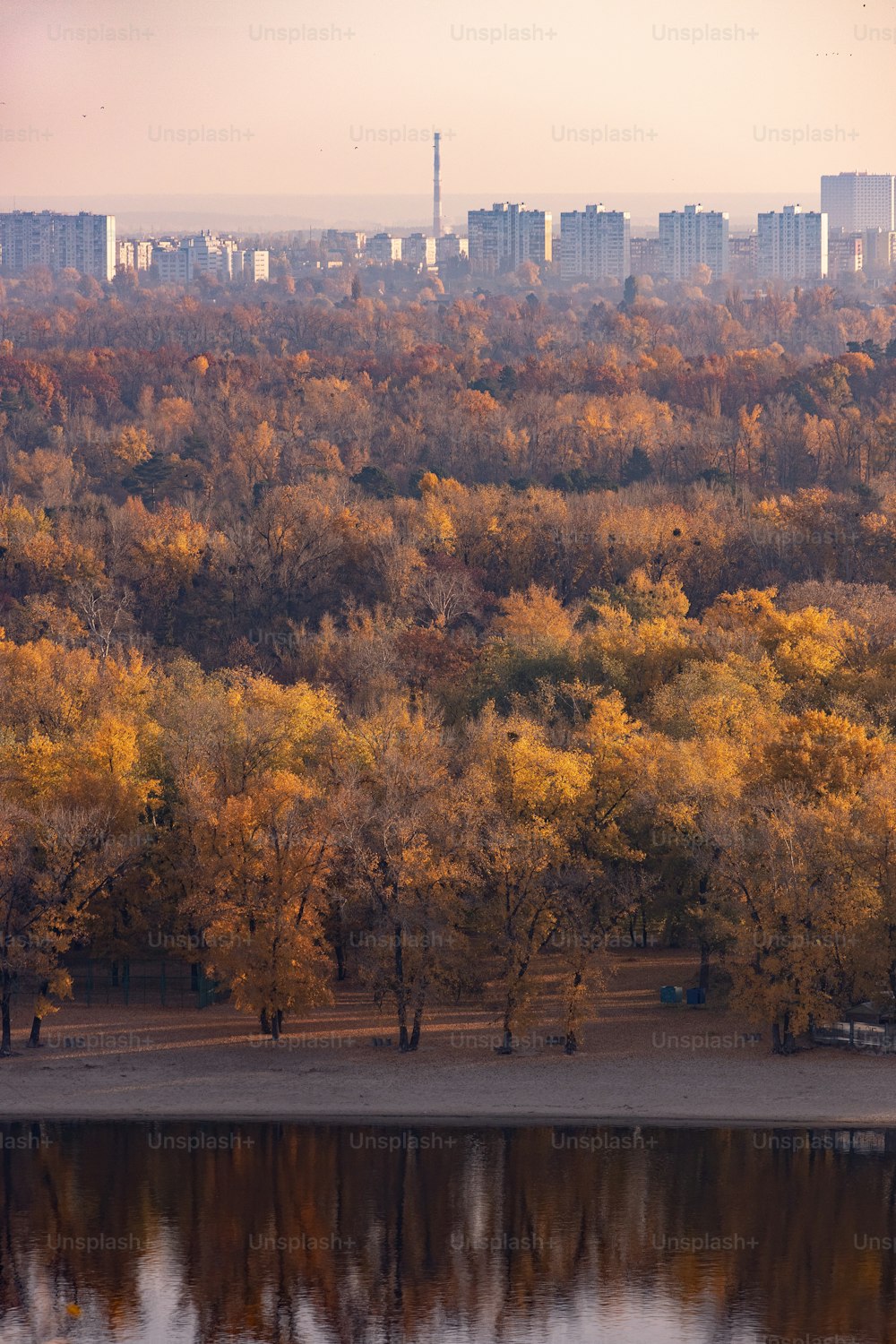 a lake surrounded by trees with a city in the background