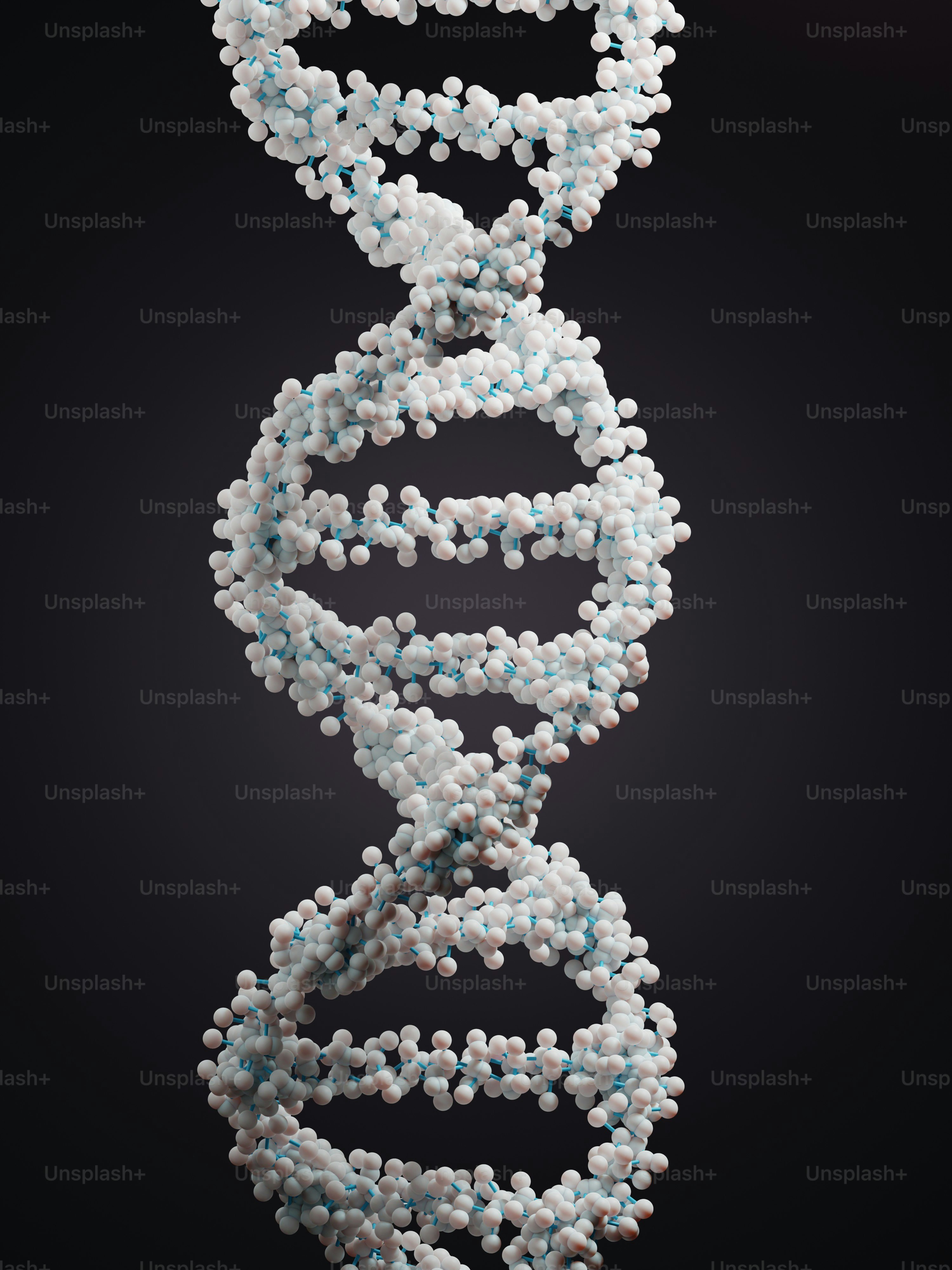 黒い背景に青と白のビーズの二重ストランド