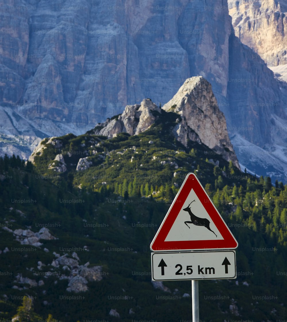 a red and white sign sitting on the side of a mountain