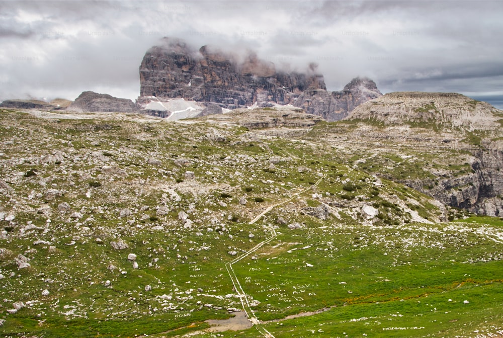 a grassy field with a mountain in the background